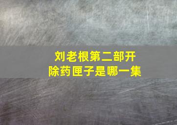 刘老根第二部开除药匣子是哪一集