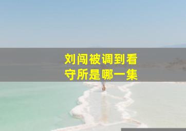 刘闯被调到看守所是哪一集