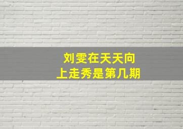 刘雯在天天向上走秀是第几期