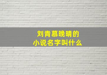 刘青慕晚晴的小说名字叫什么