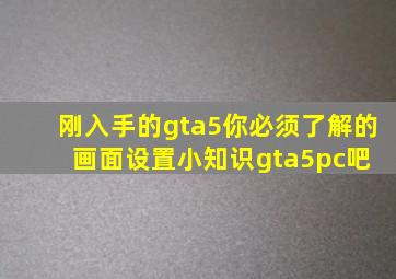 刚入手的gta5你必须了解的画面设置小知识【gta5pc吧】 