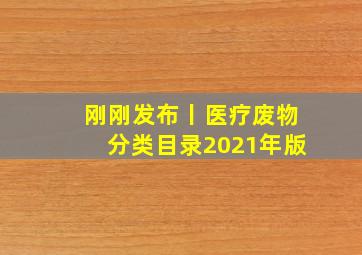 刚刚发布丨医疗废物分类目录(2021年版)