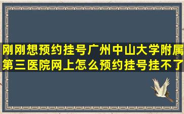 刚刚想预约挂号,广州中山大学附属第三医院网上怎么预约挂号挂不了?