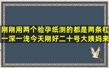 刚刚用两个验孕纸测的都是两条杠一深一浅,今天刚好二十号大姨妈来...