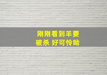 刚刚看到羊要被杀 好可怜呦