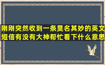 刚刚突然收到一条莫名其妙的英文短信,有没有大神帮忙看下什么意思。