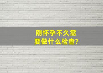 刚怀孕不久需要做什么检查?