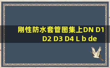 刚性防水套管图集上DN D1 D2 D3 D4 L b δ K各代表什么意思!