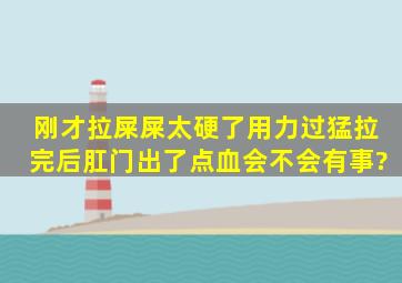 刚才拉屎,屎太硬了。用力过猛拉完后肛门出了点血,会不会有事?