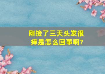 刚接了三天头发很痒,是怎么回事啊?