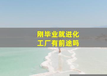 刚毕业就进化工厂有前途吗(