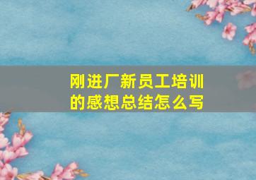 刚进厂新员工培训的感想总结怎么写