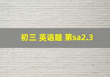 初三 英语题 第sa2.3