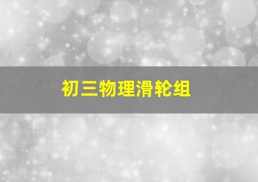 初三物理滑轮组