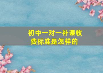 初中一对一补课收费标准是怎样的 