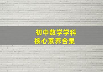 初中数学学科核心素养合集 