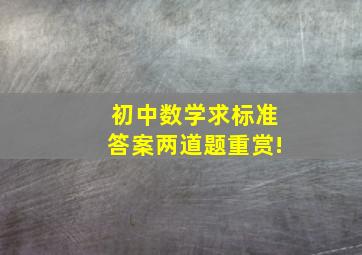 初中数学求标准答案两道题。重赏!