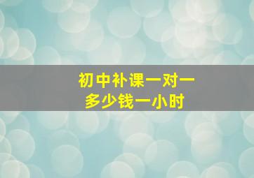 初中补课一对一多少钱一小时 