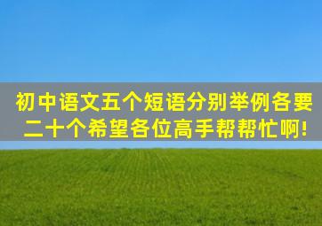 初中语文五个短语分别举例,各要二十个,希望各位高手帮帮忙啊!