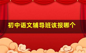 初中语文辅导班该报哪个(