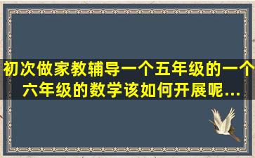 初次做家教,辅导一个五年级的,一个六年级的数学,该如何开展呢...