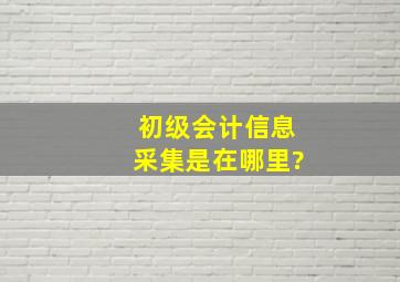 初级会计信息采集是在哪里?