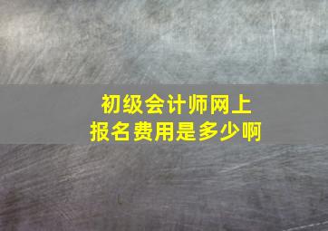 初级会计师网上报名费用是多少啊