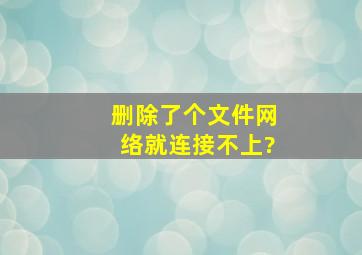 删除了个文件,网络就连接不上?