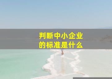 判断中小企业的标准是什么