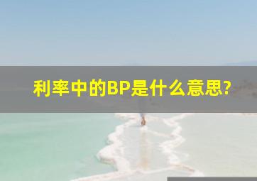 利率中的BP是什么意思?