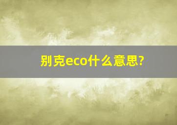 别克eco什么意思?