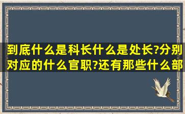 到底什么是科长,什么是处长?分别对应的什么官职?还有那些什么部长...