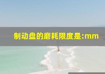 制动盘的磨耗限度是:()mm。