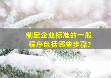 制定企业标准的一般程序包括哪些步骤?