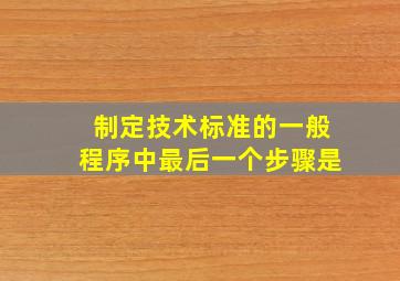 制定技术标准的一般程序中最后一个步骤是()。