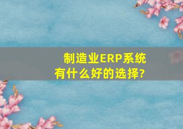 制造业ERP系统有什么好的选择?