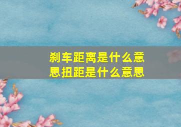 刹车距离是什么意思,扭距是什么意思