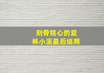 刻骨铭心的爱林小溪最后结局