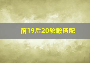 前19后20轮毂搭配