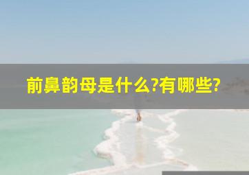 前鼻韵母是什么?有哪些?