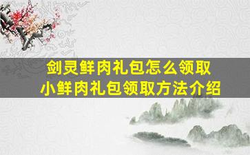 剑灵鲜肉礼包怎么领取 小鲜肉礼包领取方法介绍