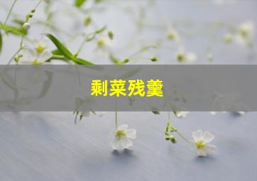 剩菜残羹