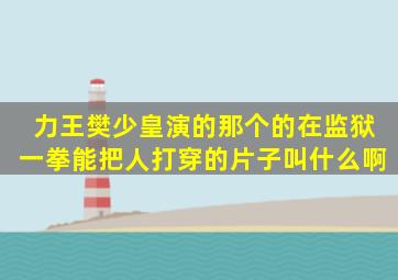 力王樊少皇演的那个的在监狱一拳能把人打穿的片子叫什么啊