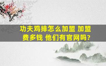 功夫鸡排怎么加盟, 加盟费多钱 他们有官网吗?