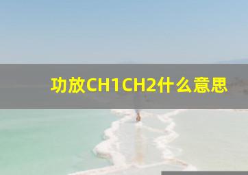 功放CH1,CH2什么意思