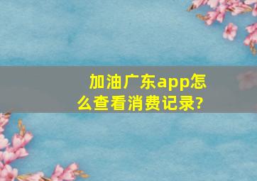 加油广东app怎么查看消费记录?
