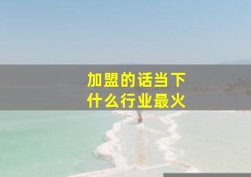 加盟的话当下什么行业最火(