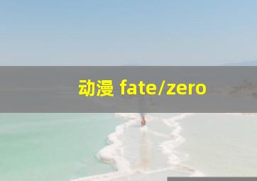 动漫 fate/zero