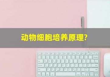 动物细胞培养原理?