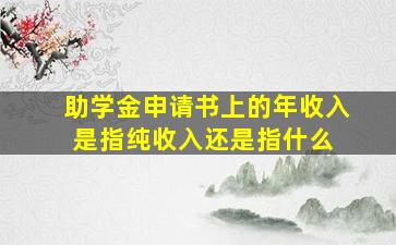 助学金申请书上的年收入是指纯收入还是指什么 